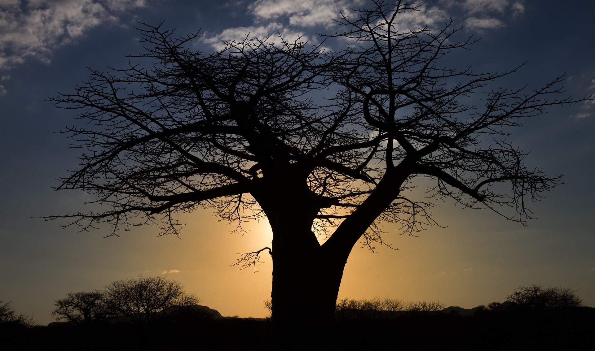 Unlock the beauty secrets of Africa with our natural, handcrafted skin and hair care products. Shop now and discover the magic of Africa for yourself!